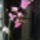 Lilam_626151_80853_t