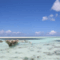 Zanzibar