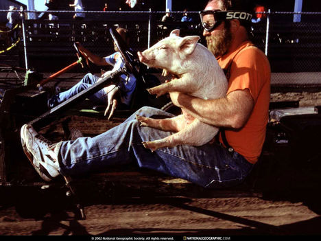 Pig-N-Ford Race, Tillamook, Oregon, 1997