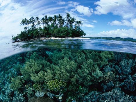 Split Island View, Papua New Guinea