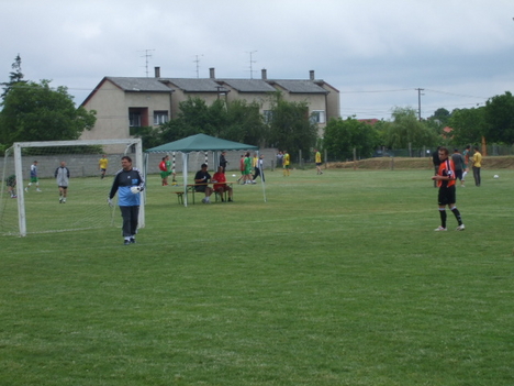 Duna Kupa 2008