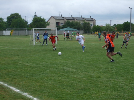 Duna Kupa 2008