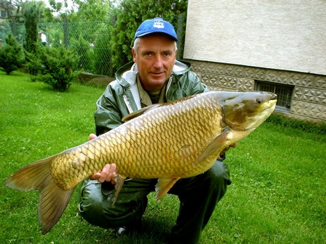 Magyar Imre 2008.06.08 - án. 14kg amur Stettni - tó
