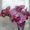 orchideák 098