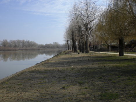 CIMG8100