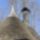Cimg8108_633397_35147_t
