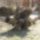 Cimg8112_633395_71650_t