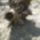 Cimg8113_633367_42517_t