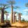 Kepek_majomkenyerfa3_1268040095_633957_92567_t