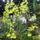 Sa401557_636802_63072_t