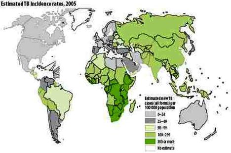 Global Tuberculosis