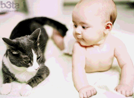 baba cica barátság.
