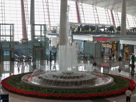 pekingi reptér hűsölhetsz is