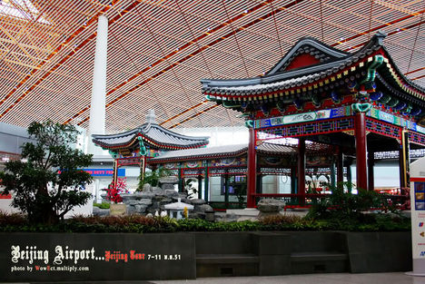 pekingi reptér nyári kert