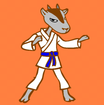 karate -kid