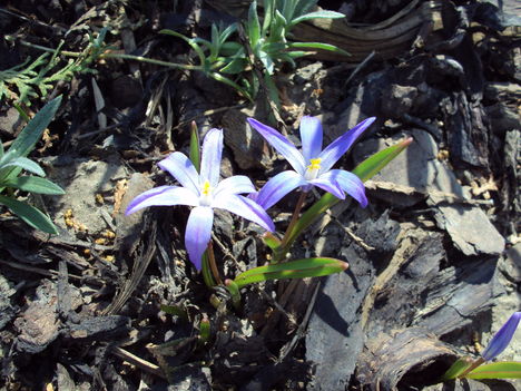 március2010 034