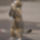 En_egy_kivert_cica_vagyok_646426_97746_t