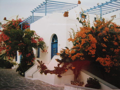 Fira, mellékutca bougenwillea-val, Santorini