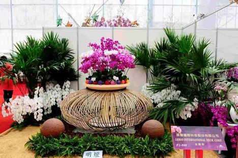 Taiwan orchidea kiállítás