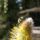 Cimg9364_652607_94322_t