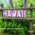 Hawai_1_653752_64221_t