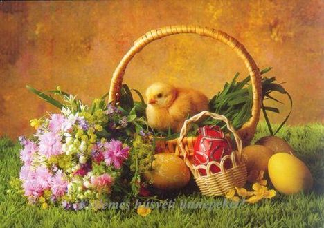 Áldott, Boldog Húsvéti Ünnepeket 2