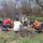 Varpalota_laci_kepei_43_655949_90333_t