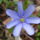 Dscf9226_656540_63812_t