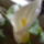 Kala_2_656869_11568_t