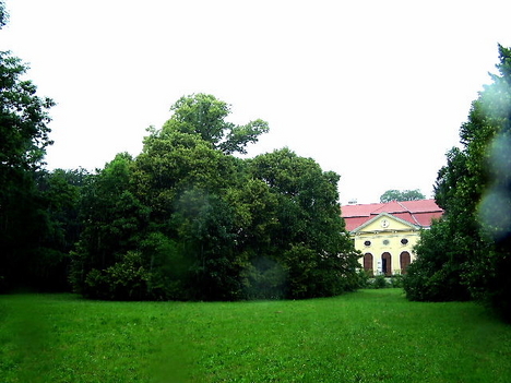 Széchényi -hárs007