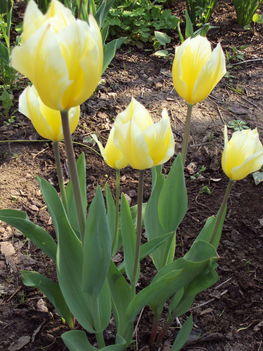 április2010 027