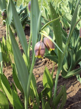 április2010 030