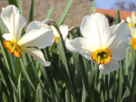 április2010 031