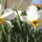 április2010 031