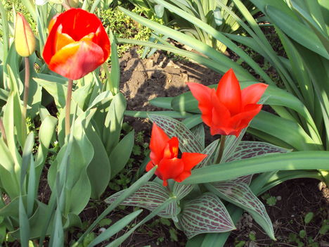 április2010 032