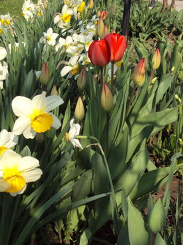 április2010 033