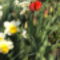 április2010 033