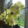 Sargam-001_661832_46702_t