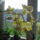 Sargam-002_661831_35707_t
