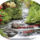 Csodas_szep_napot_662275_83181_t