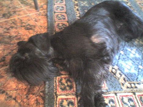 Lilike