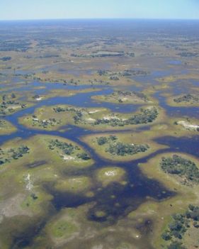 Okavango delta Botswana