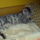 Dsc00339_663164_50440_t