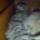 Dsc00340_663165_31477_t