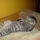 Dsc00341_663166_67000_t