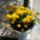 Ujmappa2_054_663189_25390_t