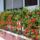 Ujmappa2_058_663192_73400_t