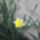 Dscf8075_664648_34863_t