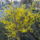 Dscf8079_664601_71647_t