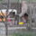 Dscf8087_664608_80547_t